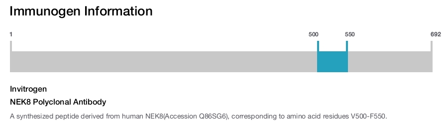 NEK8 Polyclonal Antibody
