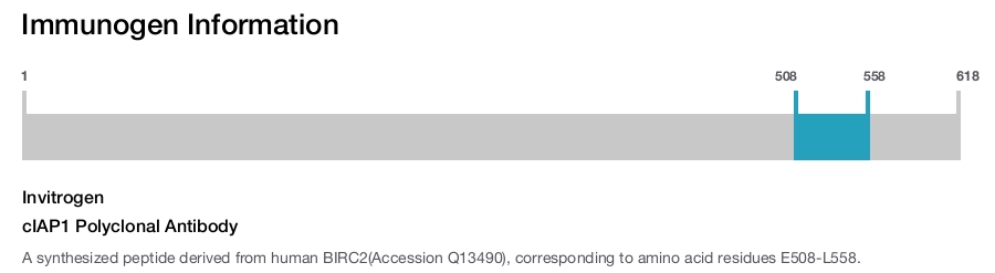 cIAP1 Polyclonal Antibody