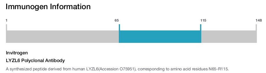 LYZL6 Polyclonal Antibody