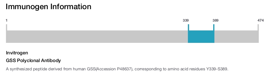 GSS Polyclonal Antibody