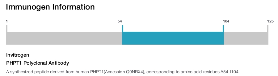PHPT1 Polyclonal Antibody