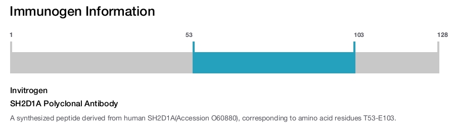 SH2D1A Polyclonal Antibody