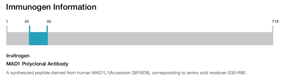 MAD1 Polyclonal Antibody