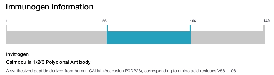 Calmodulin 1/2/3 Polyclonal Antibody