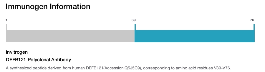 DEFB121 Polyclonal Antibody