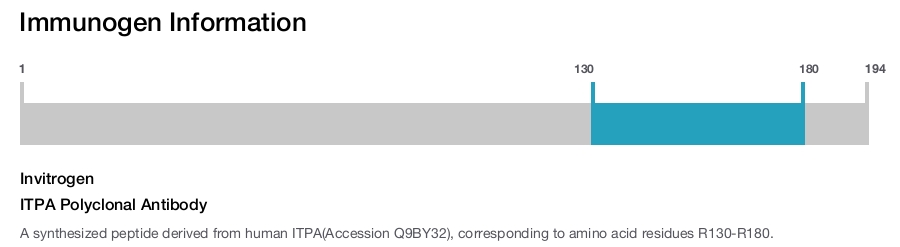 ITPA Polyclonal Antibody