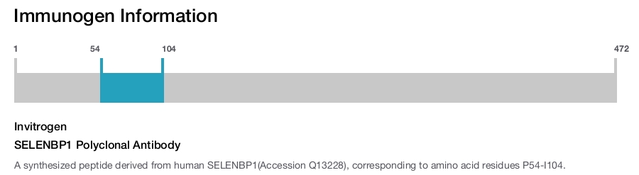 SELENBP1 Polyclonal Antibody