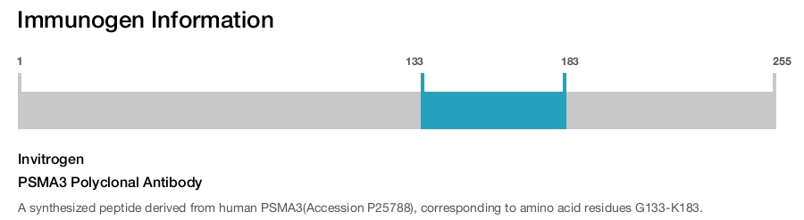 PSMA3 Polyclonal Antibody