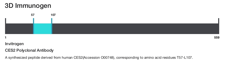 CES2 Polyclonal Antibody