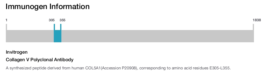 Collagen V Polyclonal Antibody