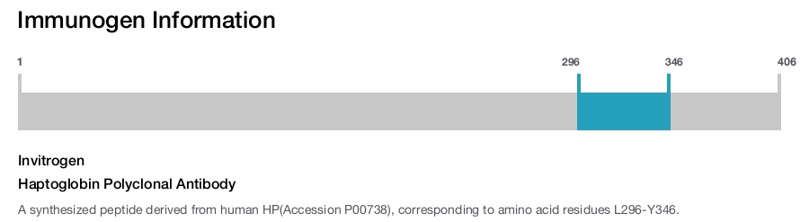 Haptoglobin Polyclonal Antibody
