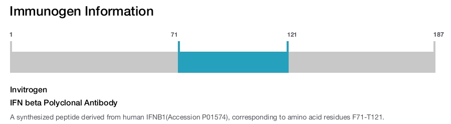 IFN beta Polyclonal Antibody