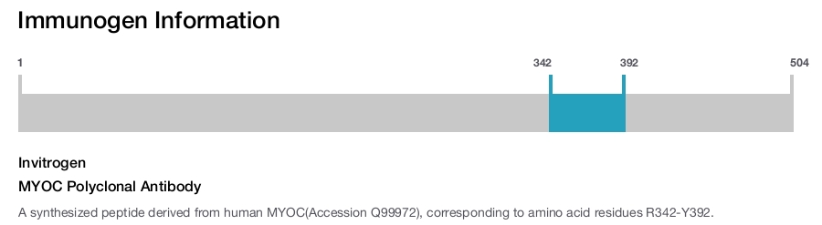 MYOC Polyclonal Antibody