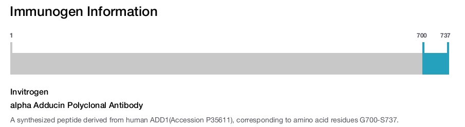 alpha Adducin Polyclonal Antibody