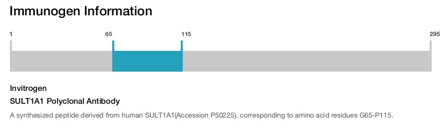 SULT1A1 Polyclonal Antibody