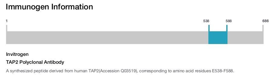 TAP2 Polyclonal Antibody