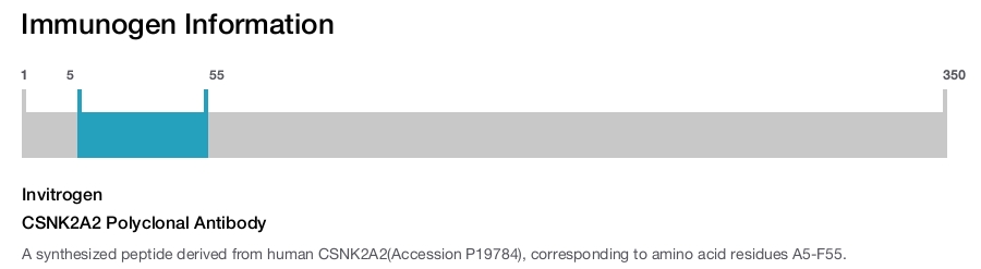 CSNK2A2 Polyclonal Antibody