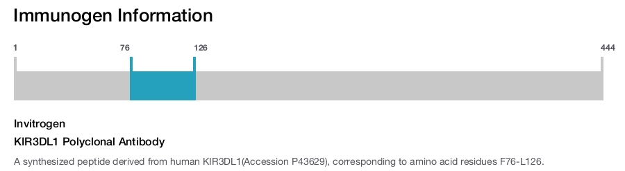 KIR3DL1 Polyclonal Antibody