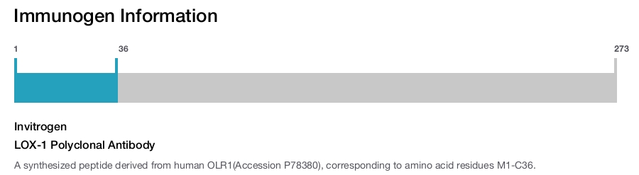 LOX-1 Polyclonal Antibody