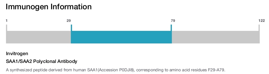 SAA1/SAA2 Polyclonal Antibody