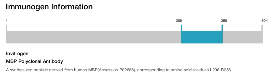 MBP Polyclonal Antibody