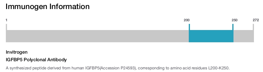 IGFBP5 Polyclonal Antibody