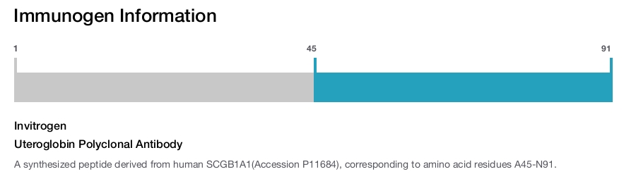 Uteroglobin Polyclonal Antibody
