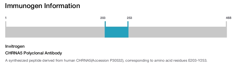 CHRNA5 Polyclonal Antibody