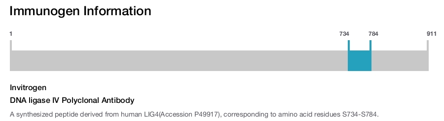 DNA ligase IV Polyclonal Antibody