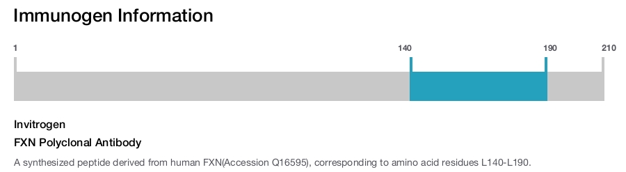 FXN Polyclonal Antibody