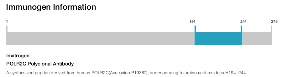 POLR2C Polyclonal Antibody