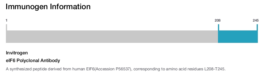 eIF6 Polyclonal Antibody