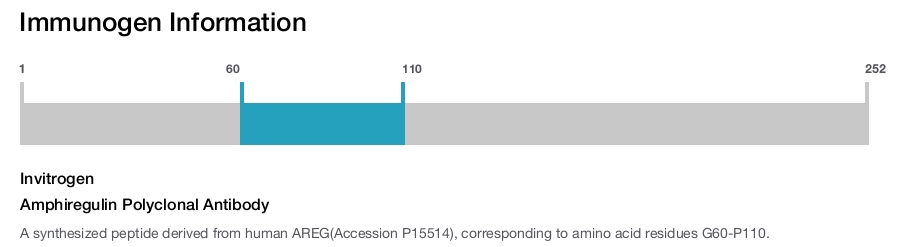Amphiregulin Polyclonal Antibody