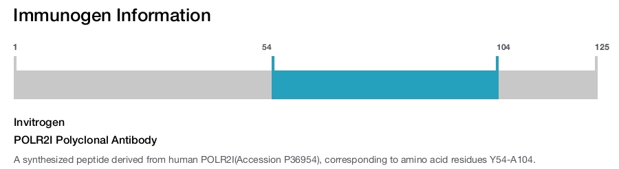 POLR2I Polyclonal Antibody