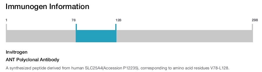 ANT Polyclonal Antibody