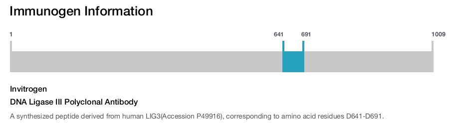 DNA Ligase III Polyclonal Antibody