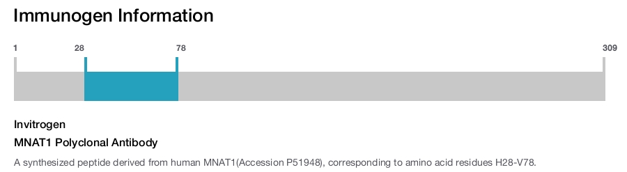 MNAT1 Polyclonal Antibody