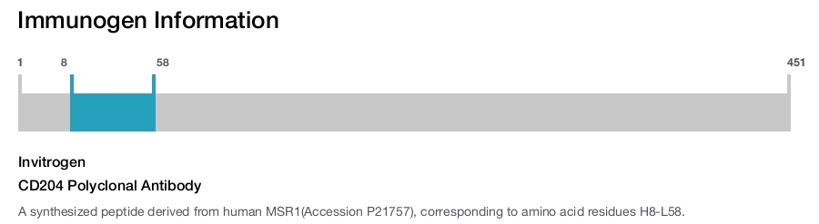 CD204 Polyclonal Antibody