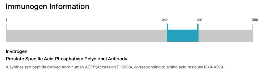 Prostate Specific Acid Phosphatase Polyclonal Antibody