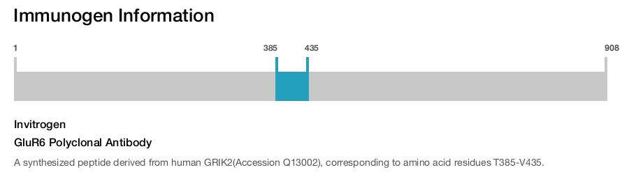 GluR6 Polyclonal Antibody