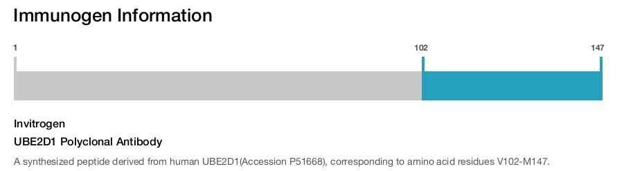UBE2D1 Polyclonal Antibody