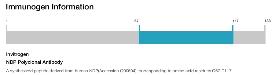 NDP Polyclonal Antibody