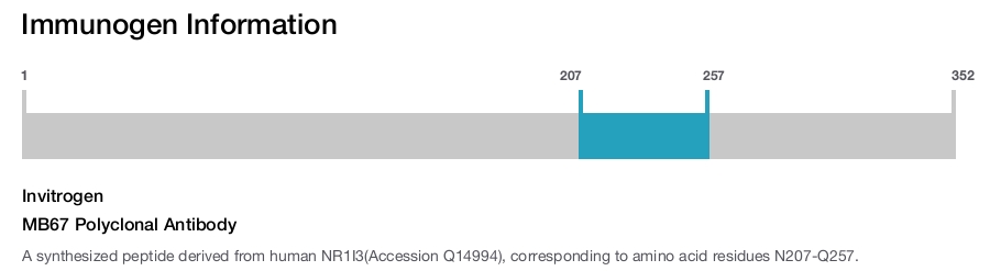 MB67 Polyclonal Antibody
