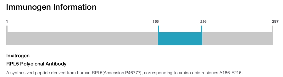RPL5 Polyclonal Antibody