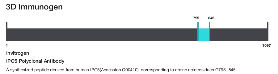 IPO5 Polyclonal Antibody
