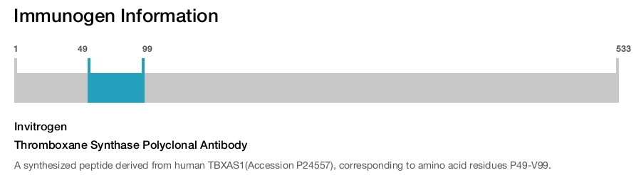 Thromboxane Synthase Polyclonal Antibody