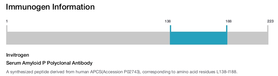 Serum Amyloid P Polyclonal Antibody