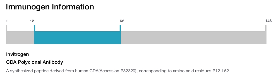 CDA Polyclonal Antibody