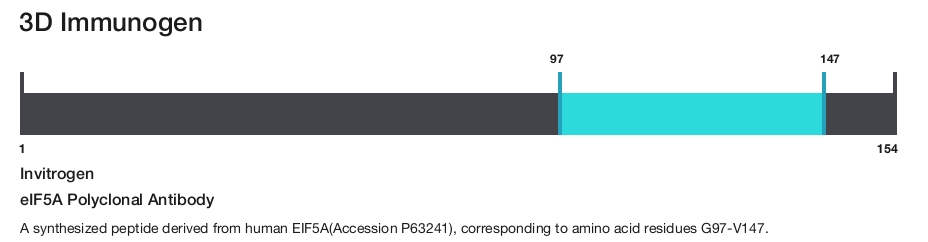 eIF5A Polyclonal Antibody