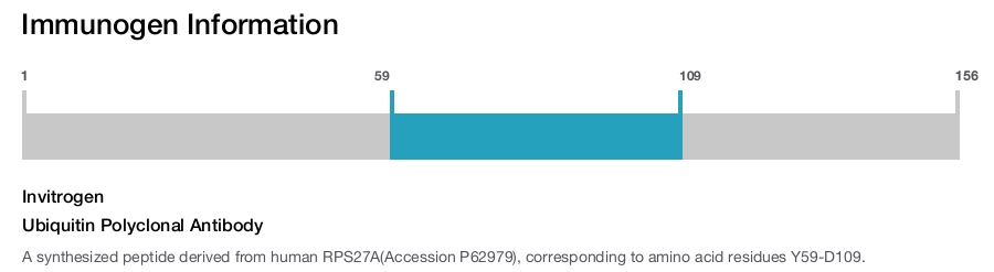 Ubiquitin Polyclonal Antibody